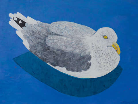 Sea gull 4