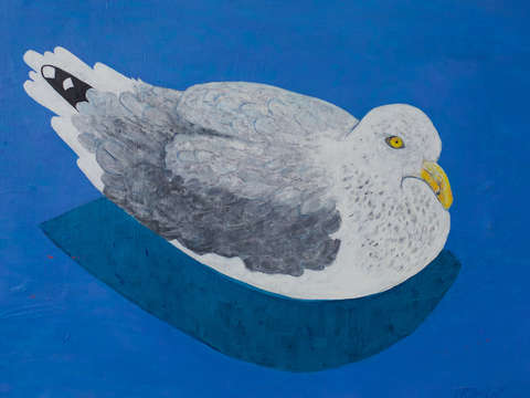 Sea gull 4 2