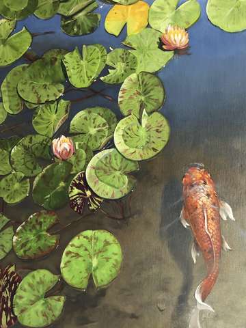 Lilies and koi