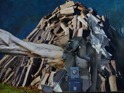 Landscape with electrical panel