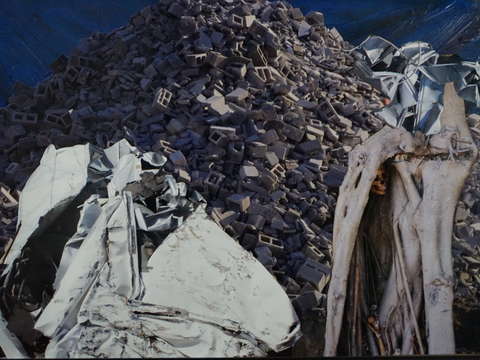 Landscape with block and bone
