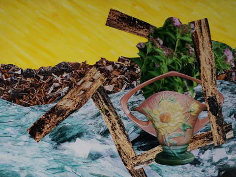 Still life on land and sea ii