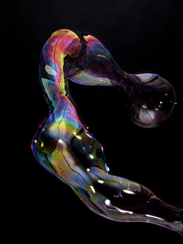 Muscle