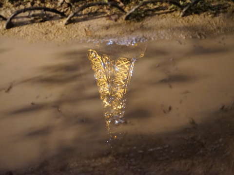 Rainy night