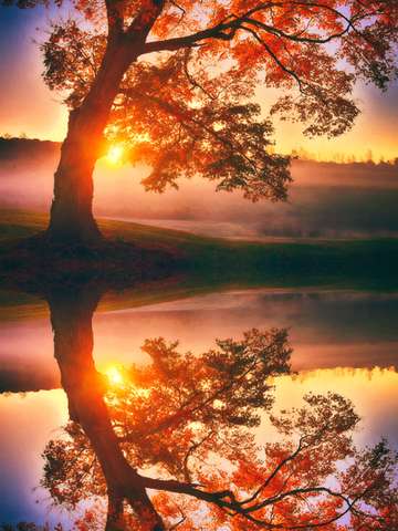 Morning reflections