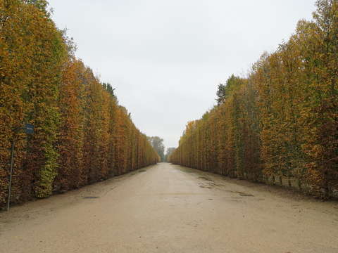 Versailles in autumn
