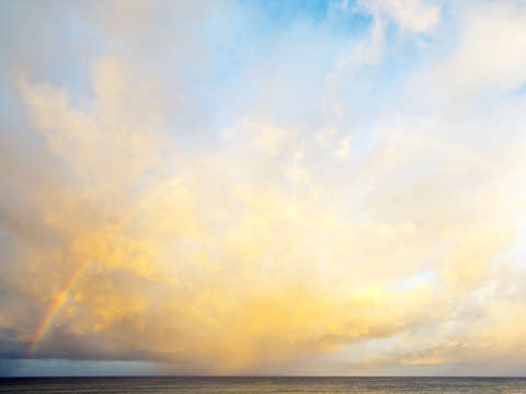 Starting to fade la jolla