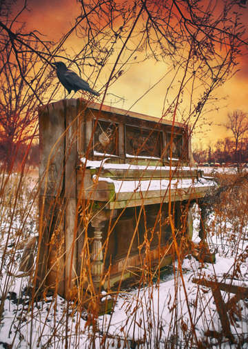 Crow crescendo 2