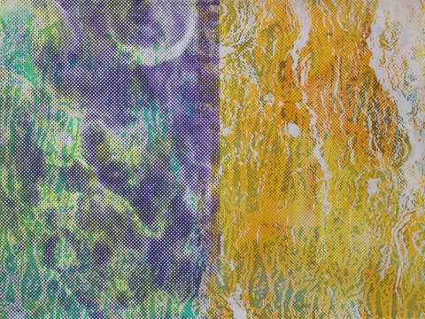Violet white kings row split
