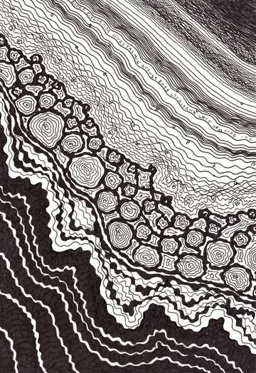 Lace of life i