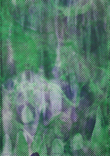 Marbled morphed purple kings row green indian