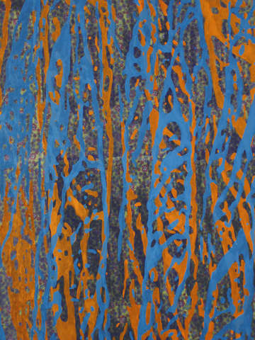 Blue orange carlsbad