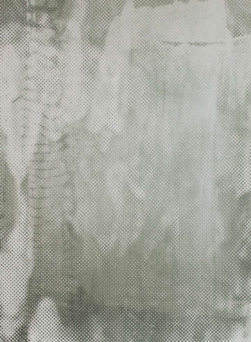 Silver indian