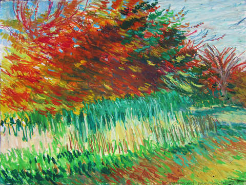 Autumn trees 9