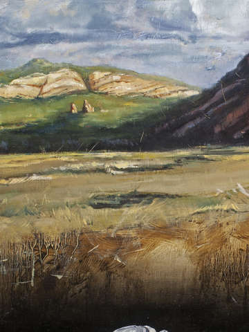 Thrown away landscape