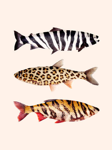 Fish print