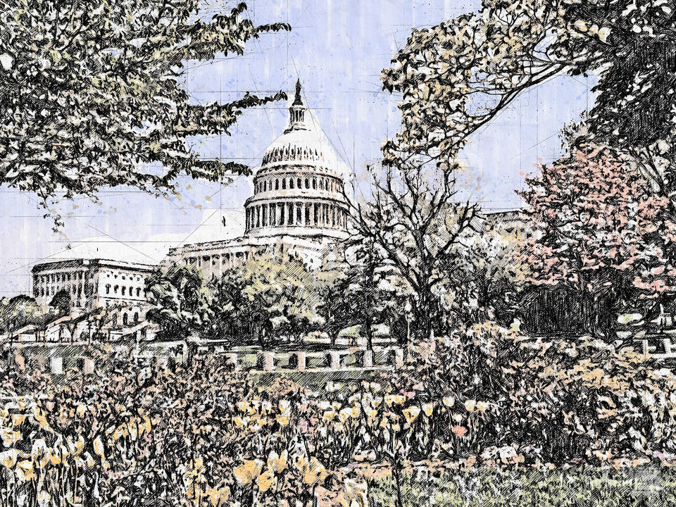 Capitol spring
