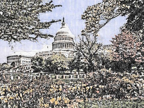 Capitol spring
