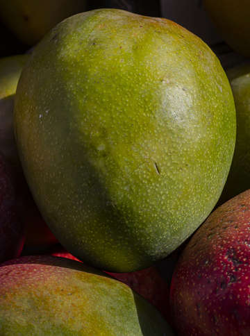 Mangos