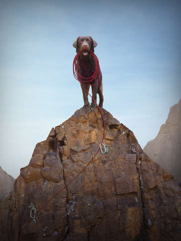 Rocky
