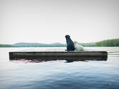 Adrift 2