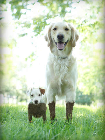 Mud muck
