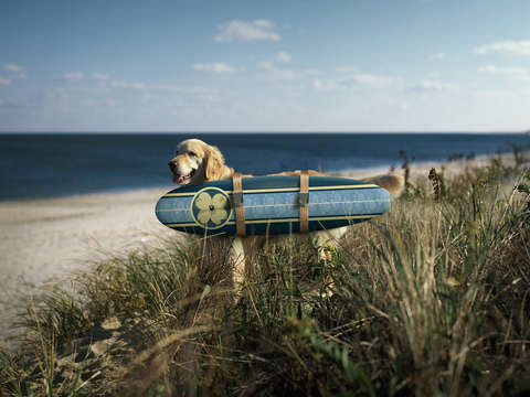 Woody