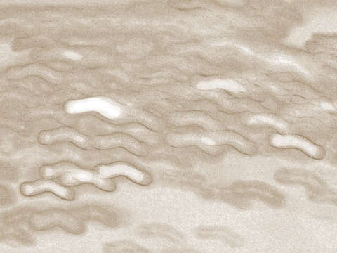 Circa 3774 sepia