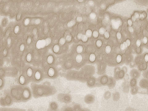 Circa 3780 sepia
