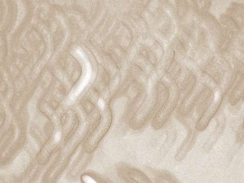 Circa 3782 sepia