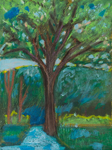 Tree along a path