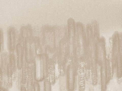 Circa 3805 sepia