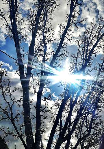 Hope for spring
