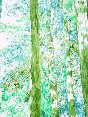 Redwoods