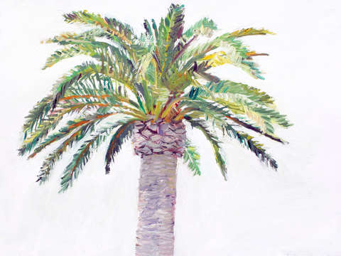 Palm tree