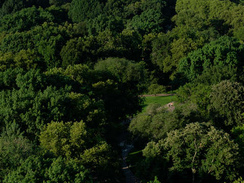 14 to drone in new york