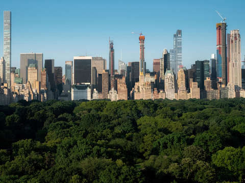 6 new yorkers thank me later
