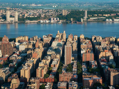 7 new yorkers thank me later
