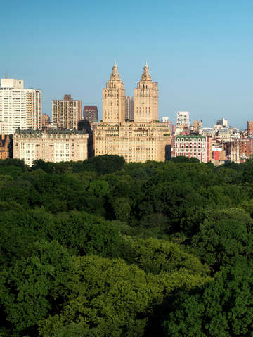 9 new yorkers thank me later