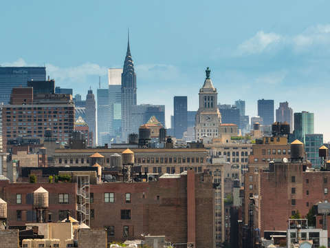 12 new yorkers thank me later