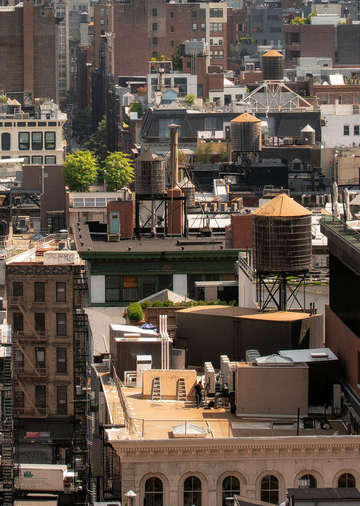 15 new yorkers thank me later