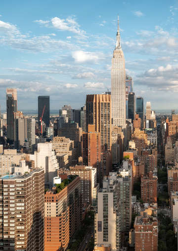 17 new yorkers thank me later