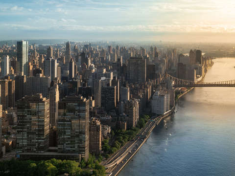 20 new yorkers thank me later