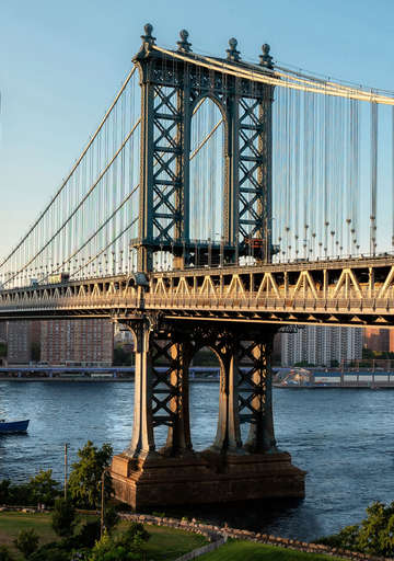 23 new yorkers thank me later