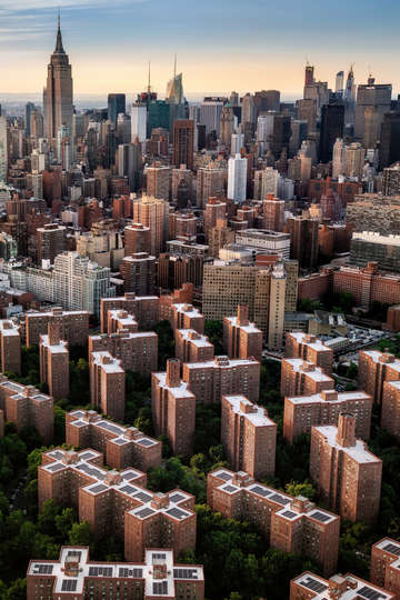 27 new yorkers thank me later