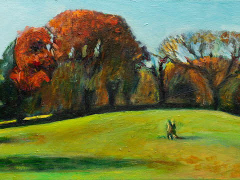 Along the long meadow