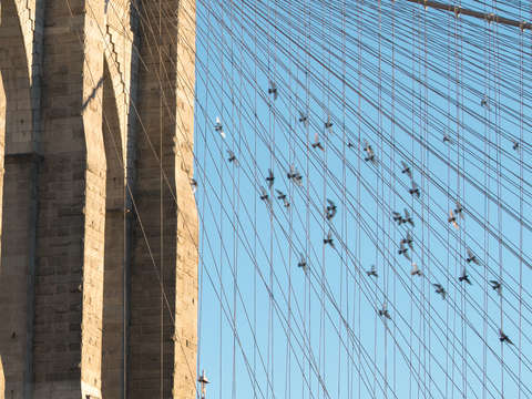 6 1 hotel brooklyn bridge 2