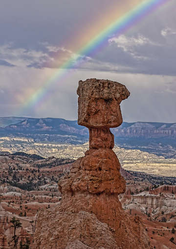 Thors hammer