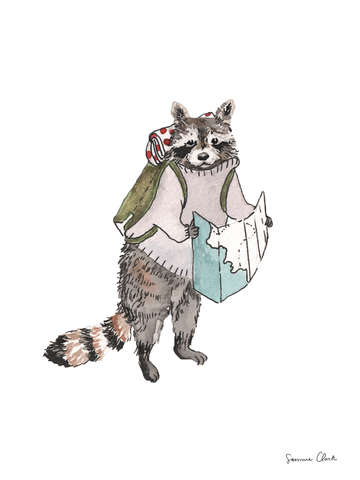 Backpacking raccoon