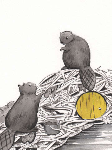 Busy building beavers